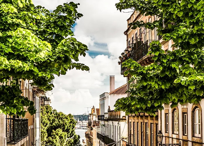 Guest house Flores 105 3*