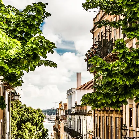 Vendégház Flores 105 3*