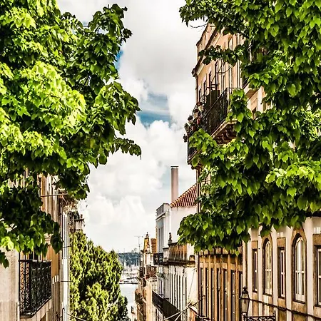 Flores 105 Lisbon